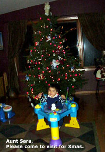 Our Xmas Tree 12/3/04