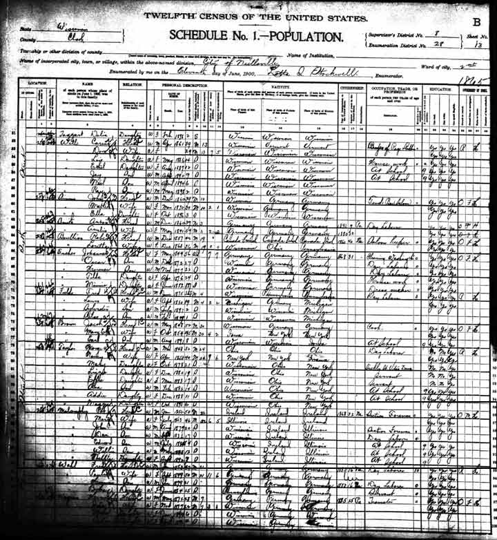 1900 Census Malamphy Family