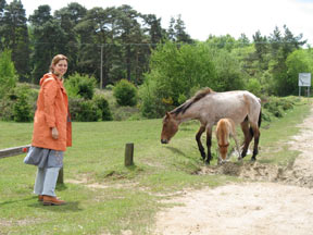 Erica meeting New Friends England